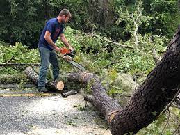 Mulching Services in Florence, MS