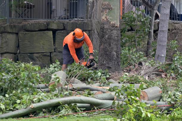 Why Choose Our Tree Removal Services in Florence, MS?